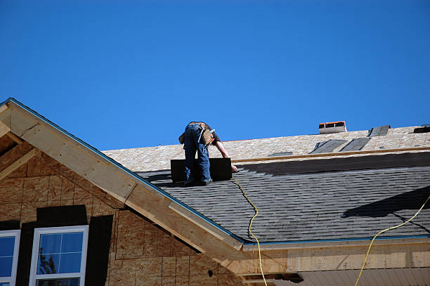 Best Metal Roofing Contractor  in Riesel, TX