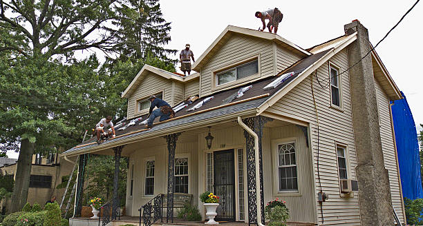 Best Metal Roofing Contractor  in Riesel, TX